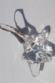 Swarovski Starfish Crystal kolczyki - Foto nr 3